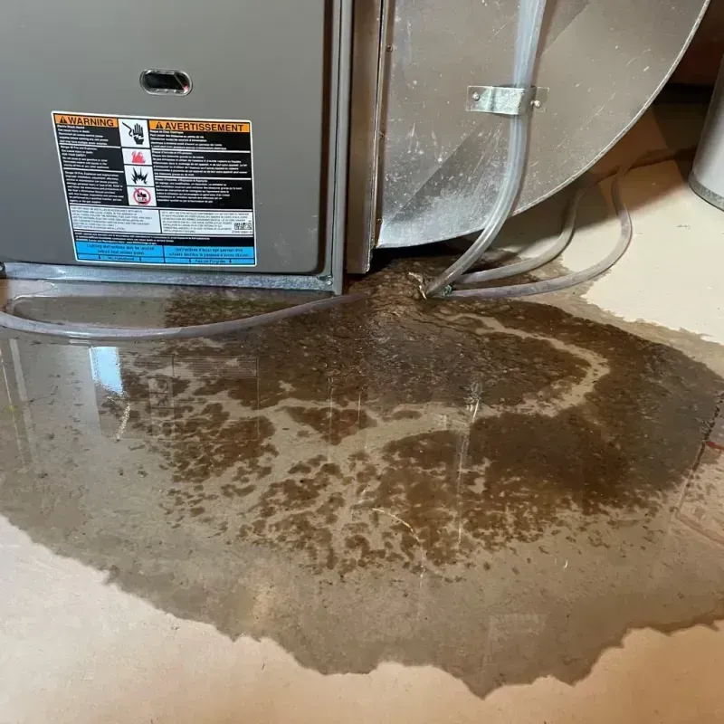 Appliance Leak Cleanup in Sierra County, NM